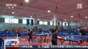 贝博中国 乒乓球台的国际高度